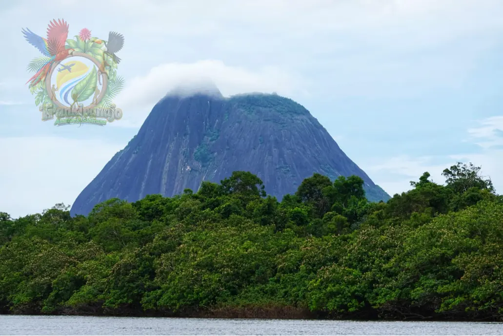 Selva del Guainía
