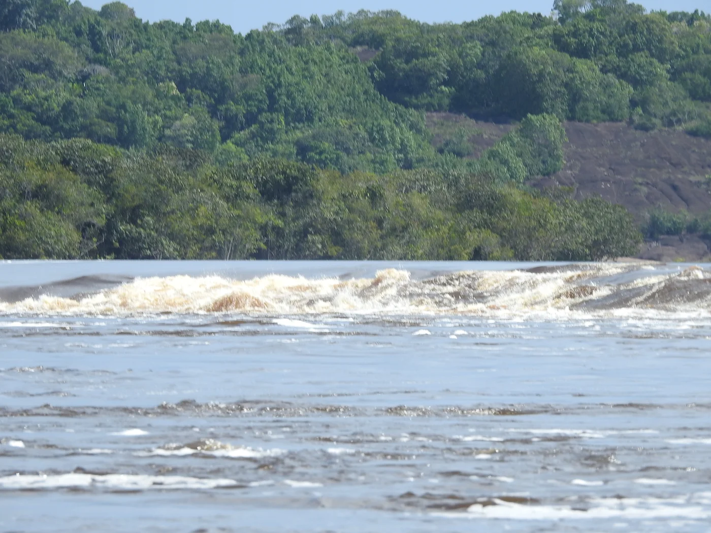 Raudal de Zamuro